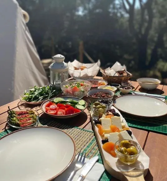 Foca Dome Glamping Suits Lodge