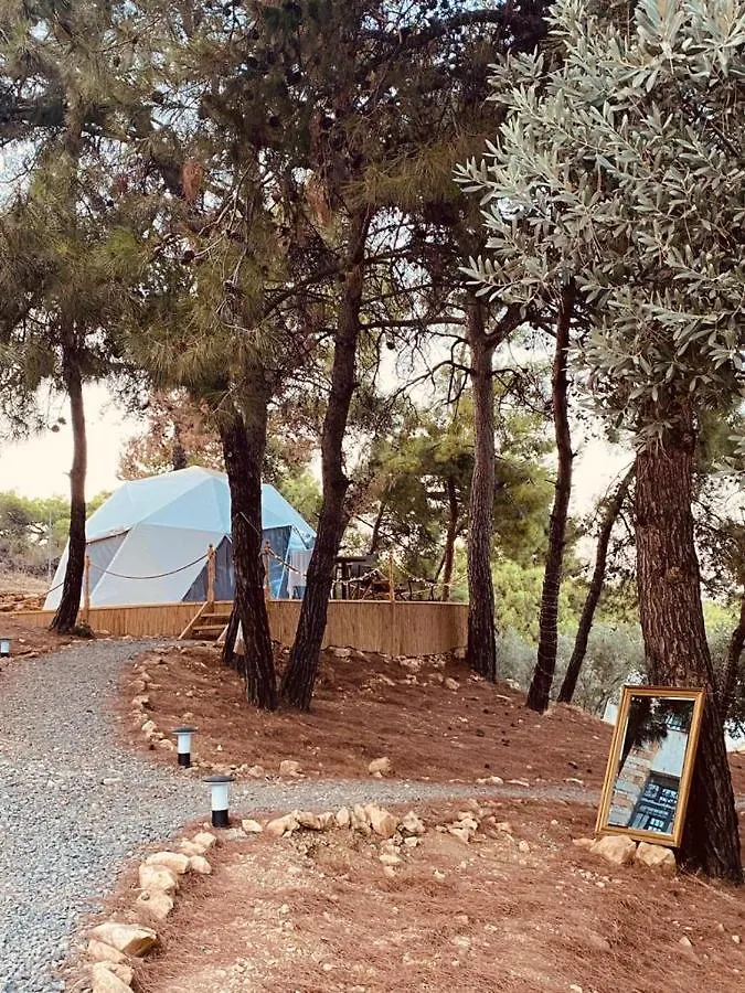 Foca Dome Glamping Suits Lodge