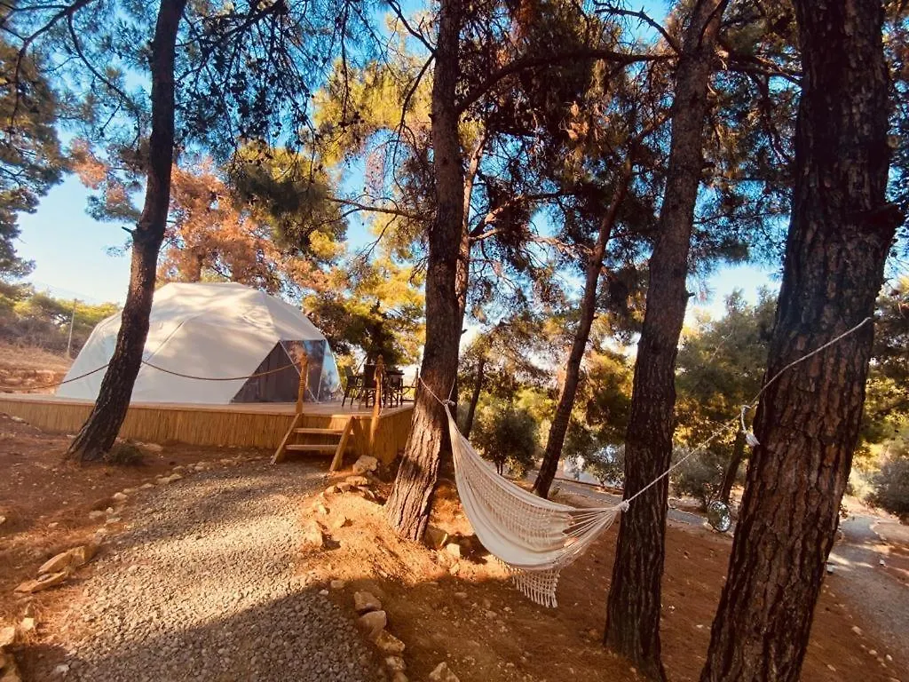 Lodge Foca Dome Glamping Suits