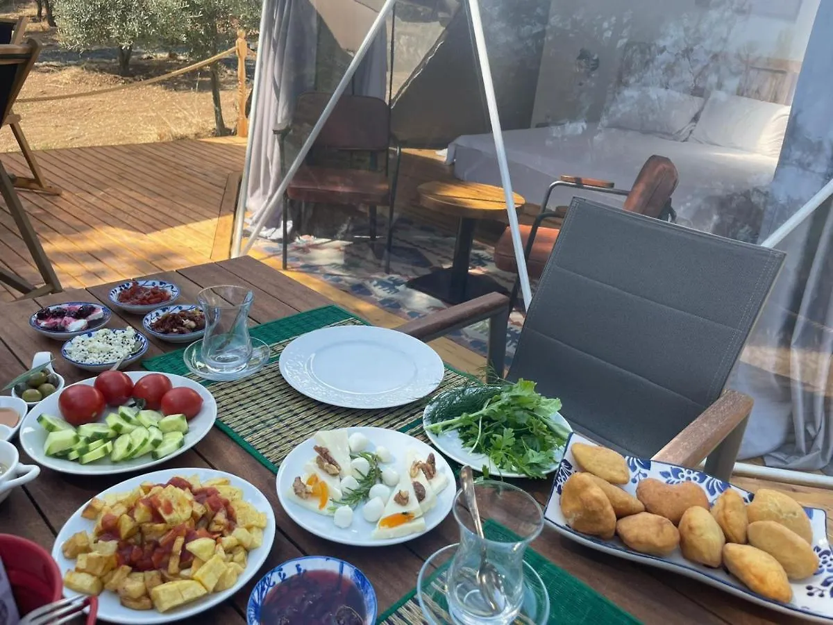 Foca Dome Glamping Suits Lodge